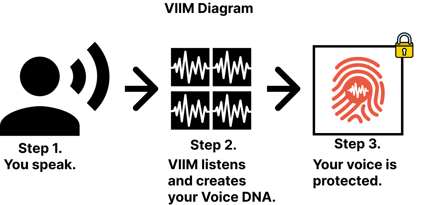 VIIM Architecture Diagram